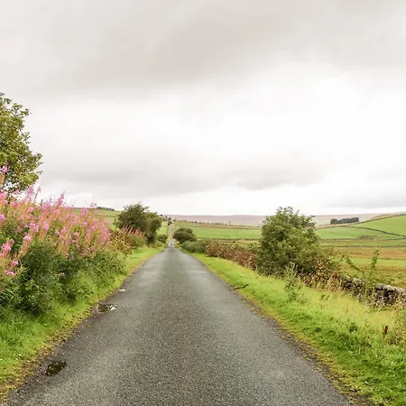 بيت للعطل Pheasant *